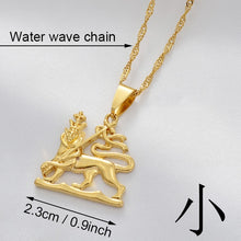 Load image into Gallery viewer, Ethiopian Lion of Judah Necklace!