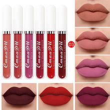 Load image into Gallery viewer, Matte Six PCS Set Liquid Lipstick!
