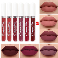 Load image into Gallery viewer, Matte Six PCS Set Liquid Lipstick!
